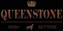 Queenstone | Irish Setters since 1976